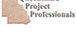Queensland Project Professionals P/L - thumb 0