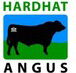 Hardhat Angus - Builders Byron Bay