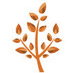 Silkwood Homes - Builders Byron Bay