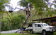 ICAN Reach Maintenance & Elevated Services - thumb 0
